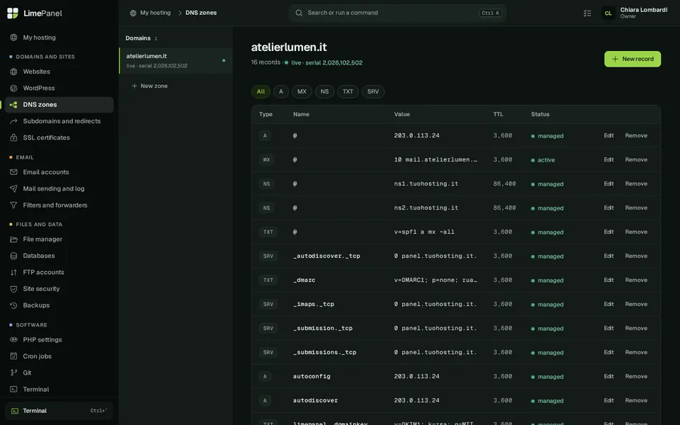 DNS — Zones with every record and its status. Email, autodiscover and DKIM records are written by the panel.